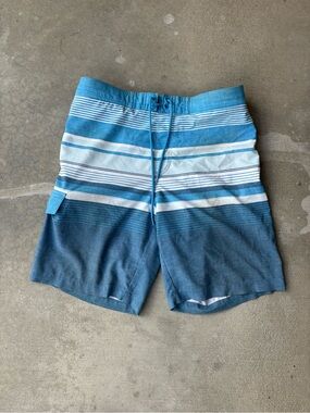 Men's Blue Striped Swim Trunks